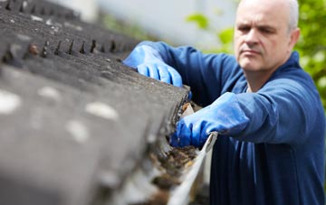 cleaning and inspecting Black Dog roofs