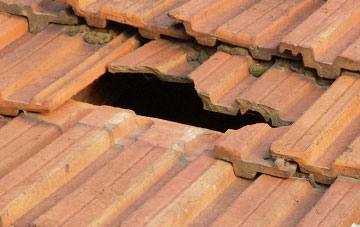 roof repair Black Dog, Devon