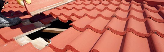 compare Black Dog roof repair quotes